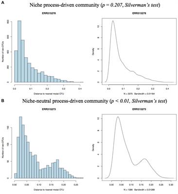 Assessing the Hybrid Effects of Neutral and Niche Processes on Gut Microbiome Influenced by HIV Infection